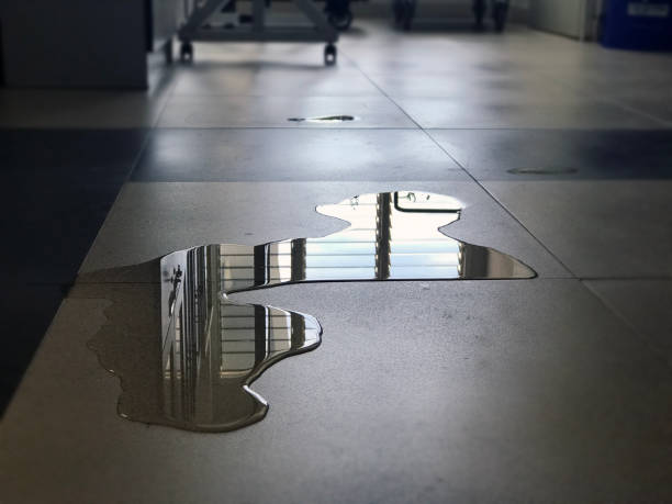 Best Water damage restoration specialists  in Maili, HI