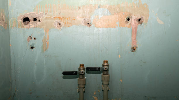 Best 24/7 water damage repair  in Maili, HI