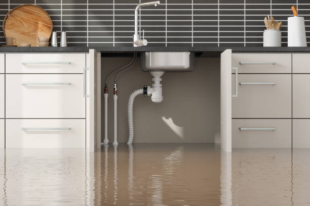 Best Basement water damage restoration  in Maili, HI